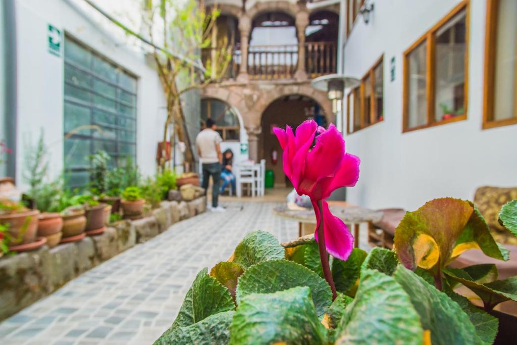 Tucan Hostel