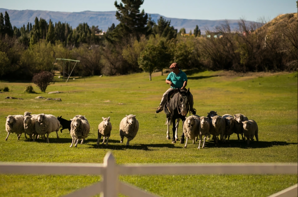 Passeios em El Calafate: Estancia 25 de Mayo