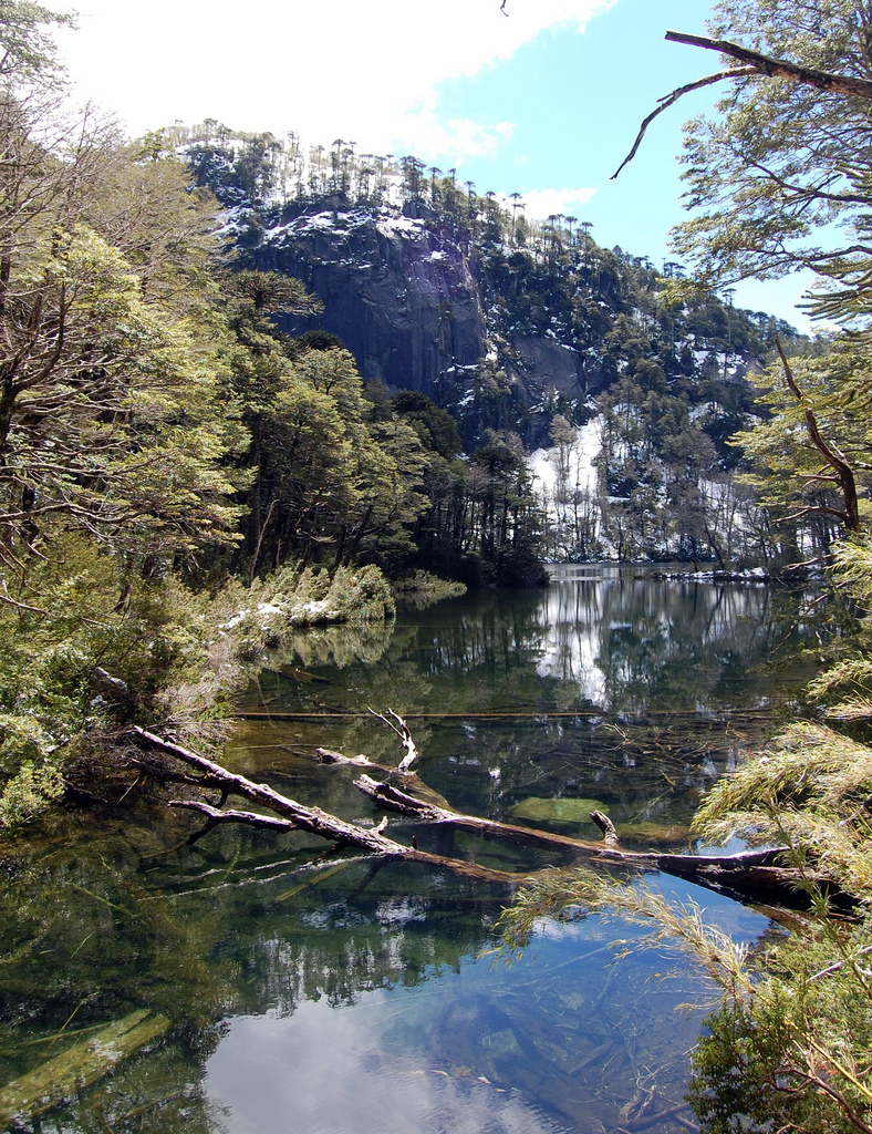 Parque Nacional Huerquechue