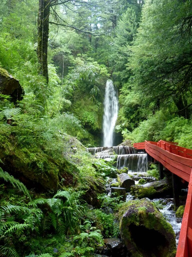 Termas Geométricas