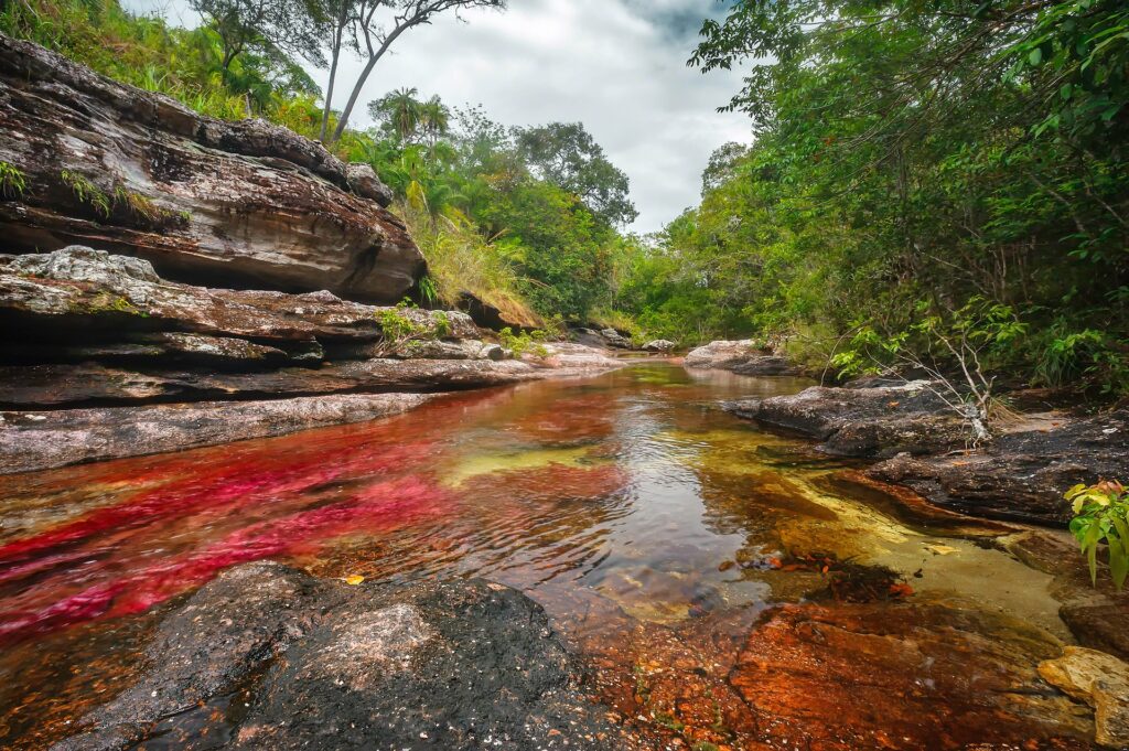 Caño Cristales, Colômbia