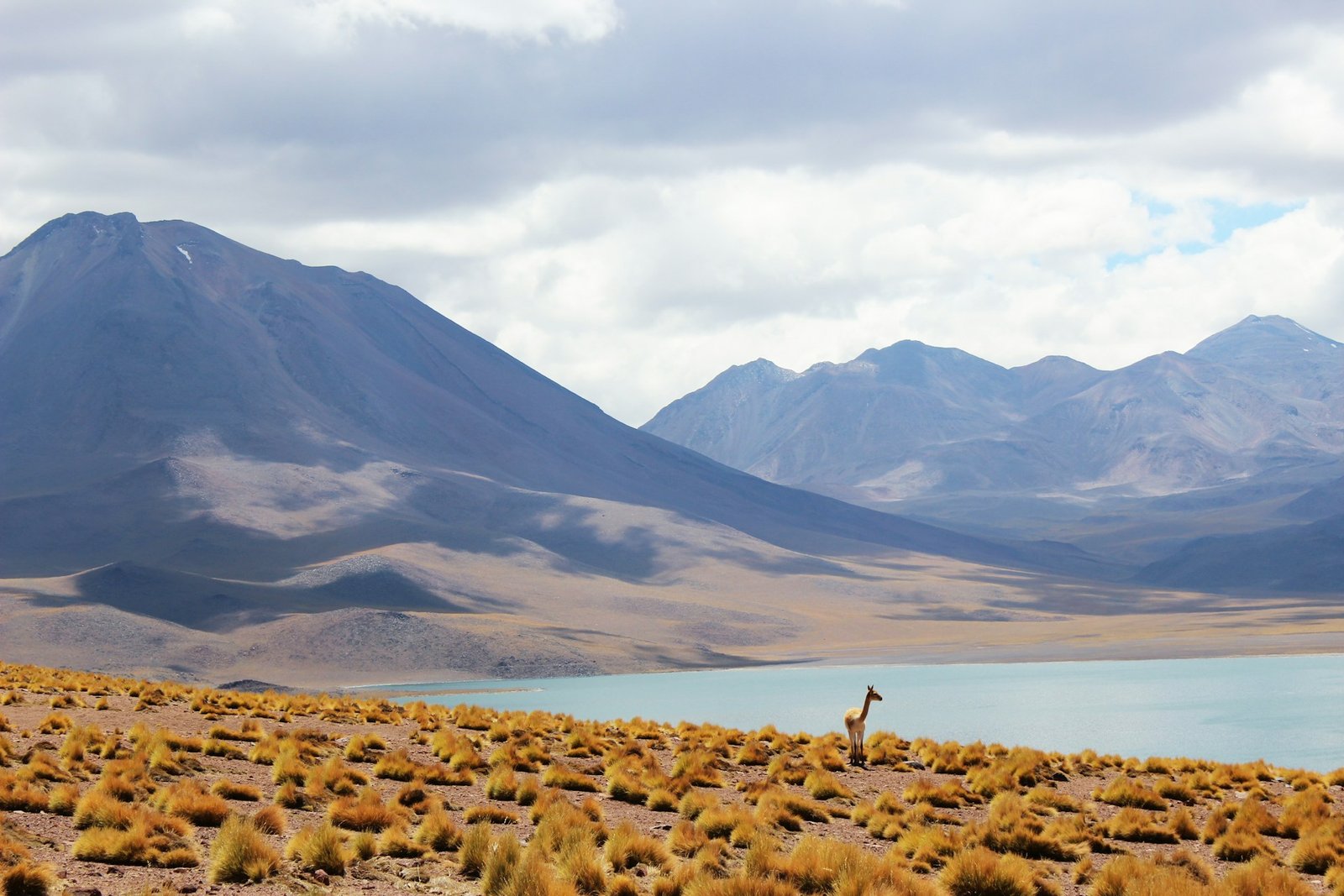 Onde ficar no Atacama: opções bem avaliadas e para todos os bolsos